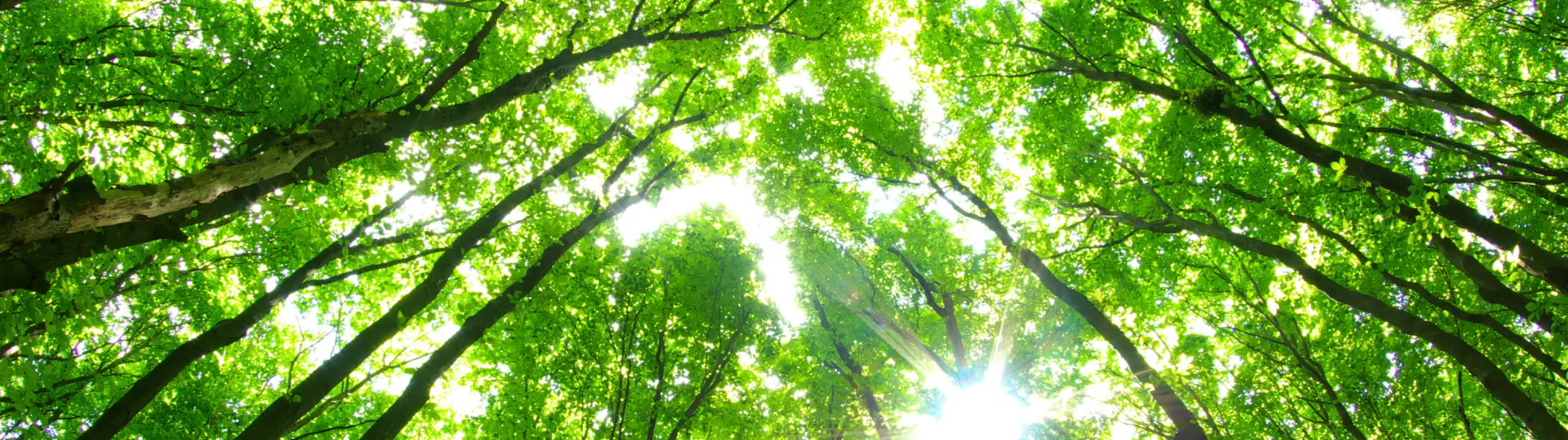 under view tree breadcrumb